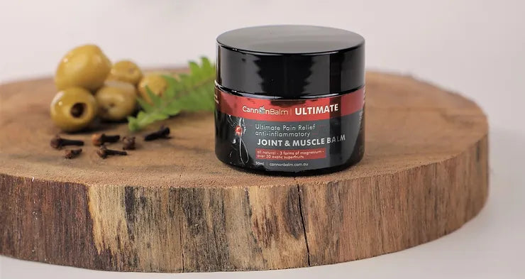 Unveiling the Powerhouse