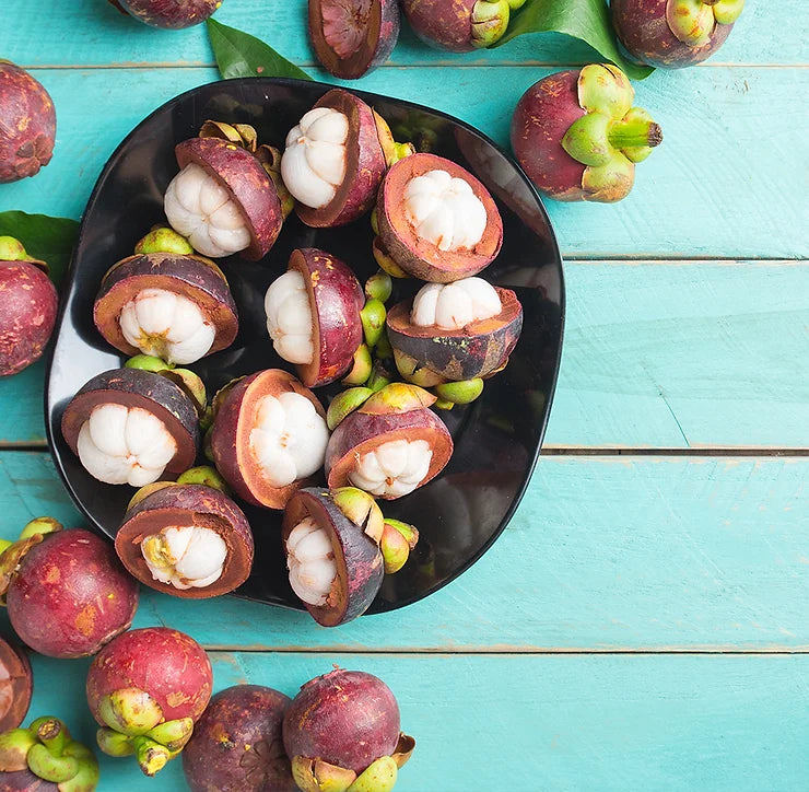 About Medicinal Mangosteen